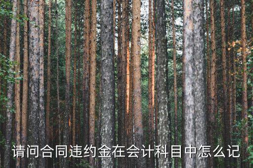 為什么違約金要記貸，企業(yè)收到違約金應借記營業(yè)外收入貸記什么科目