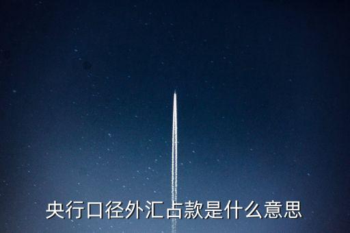 什么是口徑外匯占款，什么是央行口徑外匯占款
