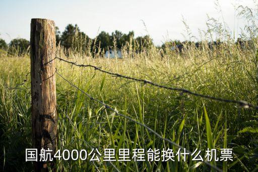 國(guó)航里程換什么，國(guó)航4000公里里程能換什么機(jī)票