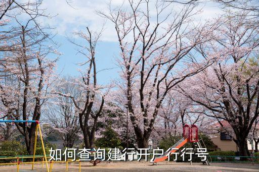 建行開(kāi)戶(hù)行號(hào)怎么查，怎樣查建行卡的開(kāi)戶(hù)行