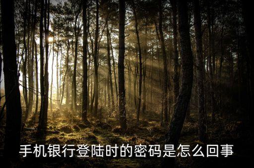 農(nóng)行網(wǎng)銀手機(jī)登錄密碼是什么情況，農(nóng)業(yè)手機(jī)銀行登錄密碼是什么
