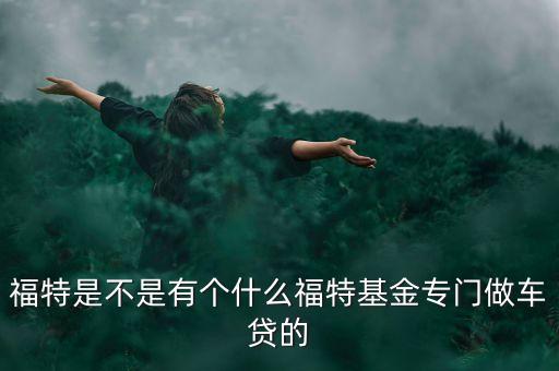 福特金融是什么意思，福特金融購車貸款5萬三年無利息只收手續(xù)費5千合理