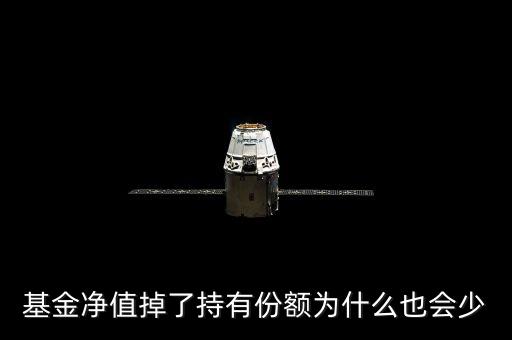 基金凈值掉了持有份額為什么也會少
