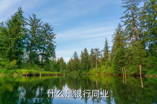 什么是銀行同業(yè)
