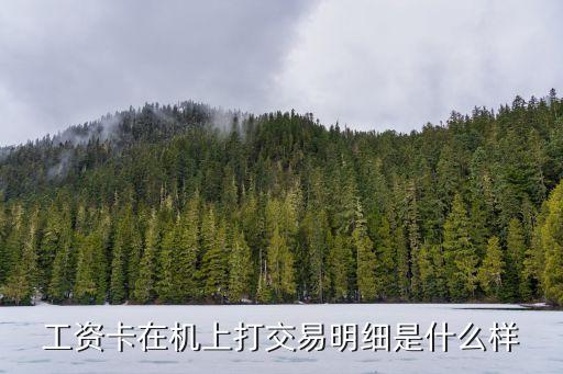工資卡在機(jī)上打交易明細(xì)是什么樣