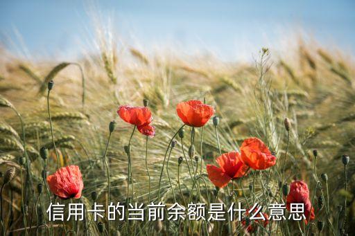 信用卡的當(dāng)前余額是什么意思