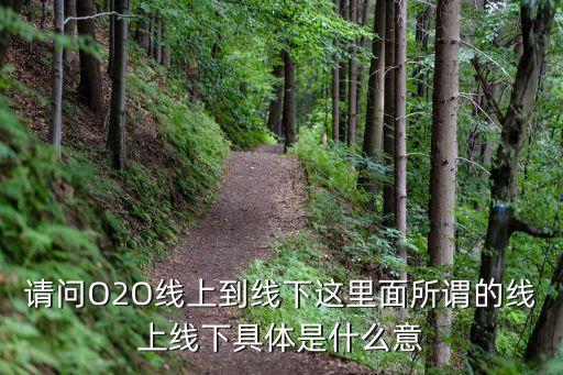 請問O2O線上到線下這里面所謂的線上線下具體是什么意