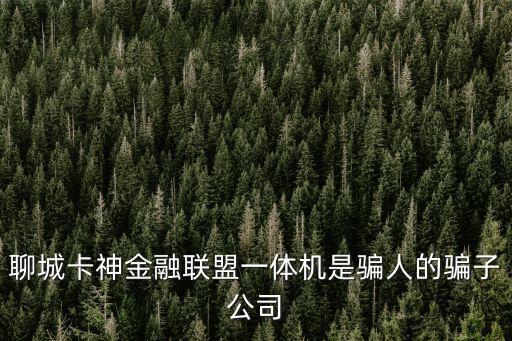 聊城卡神金融聯(lián)盟一體機(jī)是騙人的騙子公司