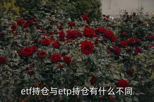 etf持倉(cāng)與etp持倉(cāng)有什么不同