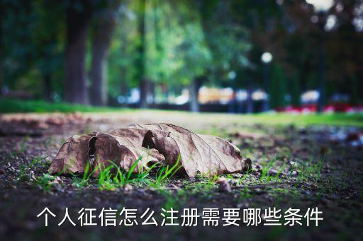 個人征信怎么注冊需要哪些條件