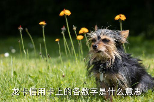 龍卡信用卡上的各數字是什么意思