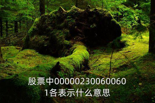 股票中000002300600601各表示什么意思