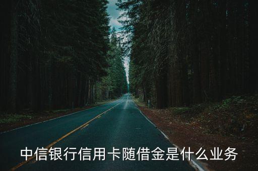 隨借金什么意思，中信隨借金是啥
