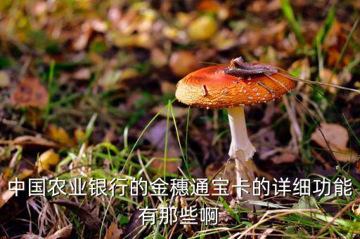 金穗通寶卡是什么卡，農(nóng)行卡的金穗通寶卡 又屬于什么卡