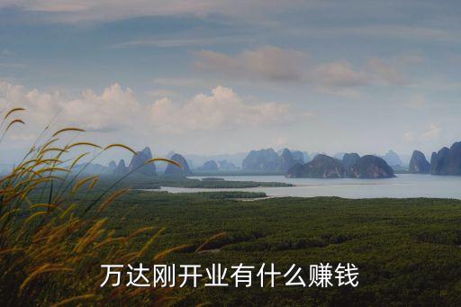 萬達公司用什么賺錢，一個商場比如說萬達廣場它是靠什么賺錢的是單純收的商業(yè)家