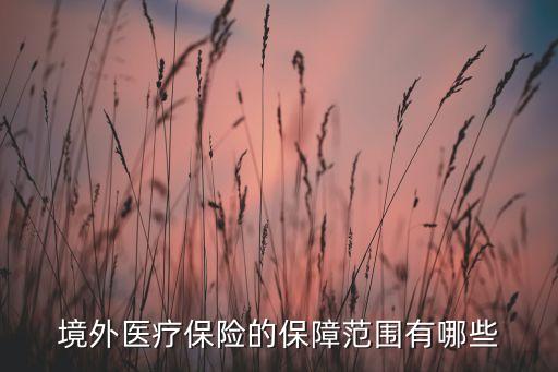 境外險(xiǎn)保什么，境外醫(yī)療保險(xiǎn)的保障范圍有哪些