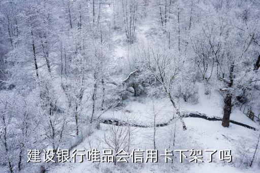 建設(shè)銀行唯品會(huì)信用卡下架了嗎