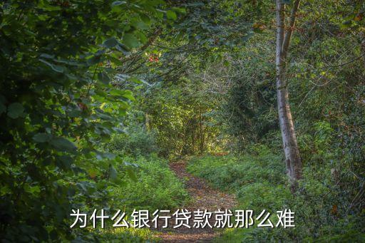 為什么銀行貸款就那么難