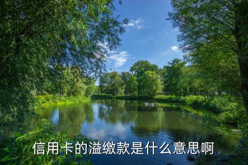 信用卡的溢繳款是什么意思啊