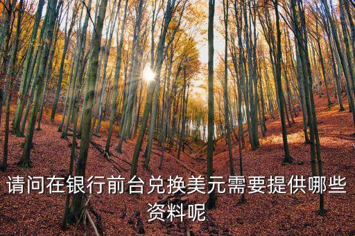 請(qǐng)問在銀行前臺(tái)兌換美元需要提供哪些資料呢