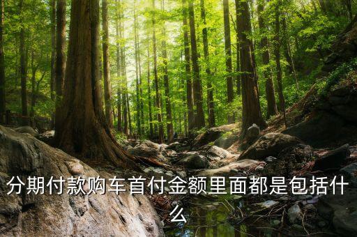 汽車分期首付包括什么東西，分期付款購車首付金額里面都是包括什么