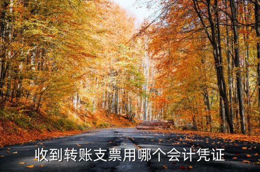 收到轉(zhuǎn)賬支票用哪個(gè)會(huì)計(jì)憑證