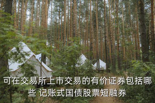 可在交易所上市交易的有價(jià)證券包括哪些 記賬式國債股票短融券