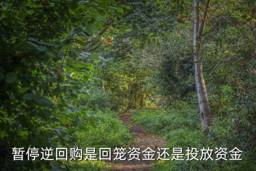 暫停逆回購是回籠資金還是投放資金