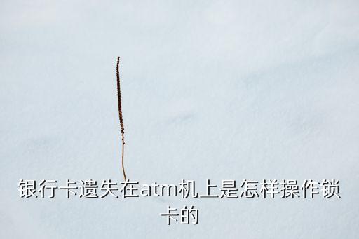 銀行卡遺失在atm機上是怎樣操作鎖卡的
