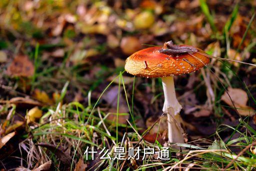 什么是財(cái)戶通