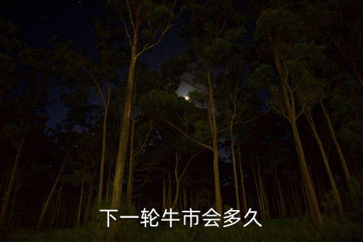 下一輪牛市會多久