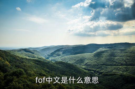 fof中文是什么意思