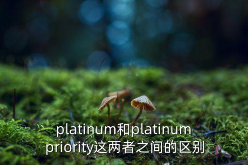 platinum和platinum priority這兩者之間的區(qū)別
