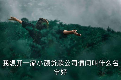 什么小額貸款名字好聽，請(qǐng)大家?guī)臀移鹨粋€(gè)小額貸款公司的名字兩個(gè)字三個(gè)字都行要穩(wěn)重霸