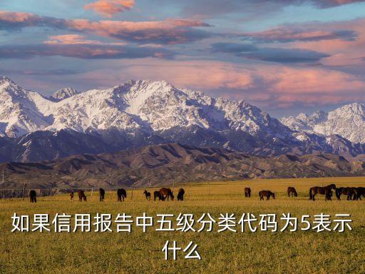 個(gè)人征信五級(jí)是什么意思，如果信用報(bào)告中五級(jí)分類代碼為5表示什么