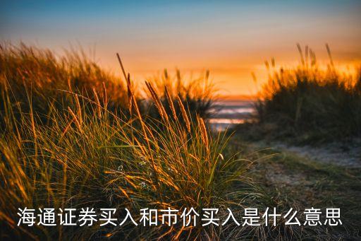 什么叫市價(jià)買入，海通證券買入和市價(jià)買入是什么意思