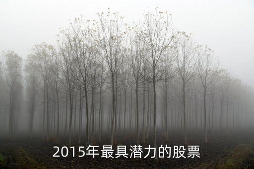 2015年最具潛力的股票