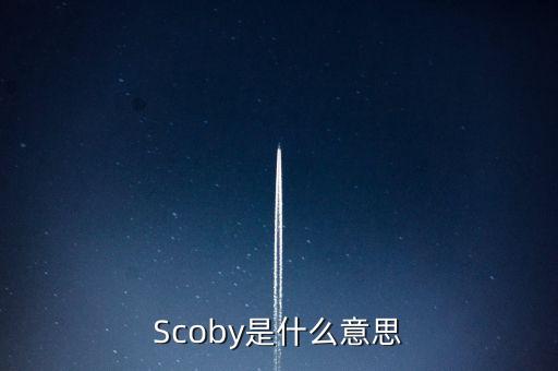 Scoby是什么意思