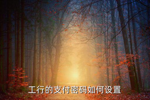 工行怎樣添加信用卡支付密碼是什么，工行的支付密碼如何設置