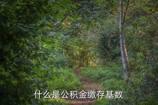 什么是公積金繳存基數(shù)