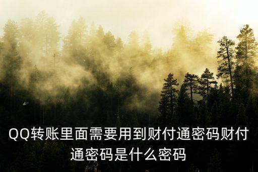 qq綁定銀行卡財付通密碼是什么密碼是什么，QQ轉(zhuǎn)賬里面需要用到財付通密碼財付通密碼是什么密碼