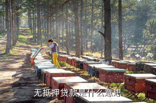 什么是無(wú)抵押，什么是無(wú)抵押貸款