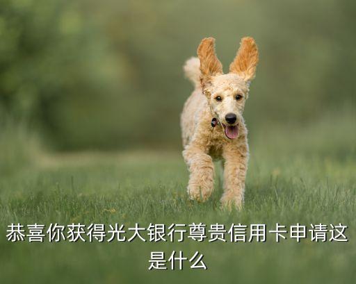 恭喜你獲得光大銀行尊貴信用卡申請這是什么