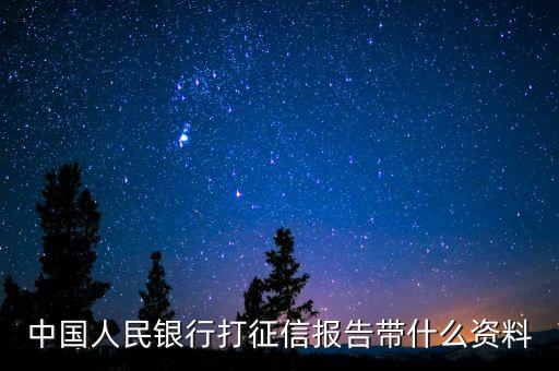 中國人民銀行打征信報告帶什么資料