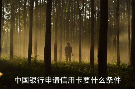 中國銀行信用卡號什么條件，中國銀行信用卡需要什么條件