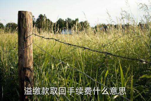 溢繳款取現(xiàn)費(fèi)是什么意思，什么是卡內(nèi)溢繳款同城取現(xiàn)手續(xù)費(fèi) 交行