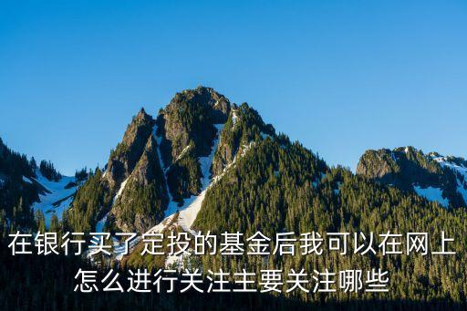 在銀行買了定投的基金后我可以在網(wǎng)上怎么進(jìn)行關(guān)注主要關(guān)注哪些