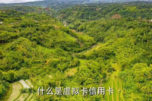 什么是虛擬卡信用卡