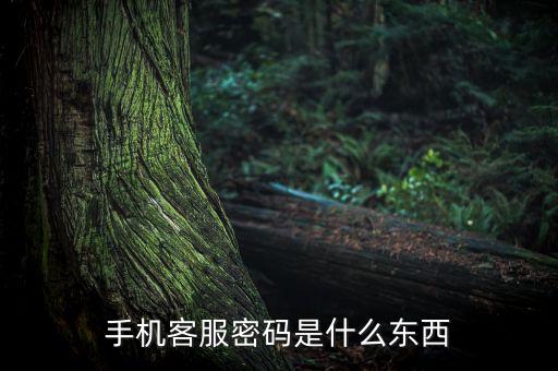 手機(jī)客服密碼是什么東西