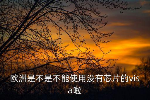 芯片維薩是什么，歐洲是不是不能使用沒有芯片的visa啦